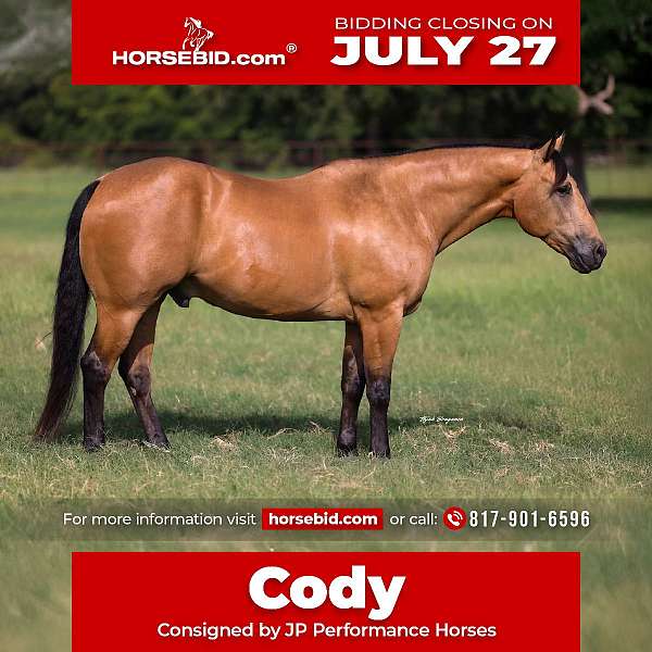 all-around-quarter-horse