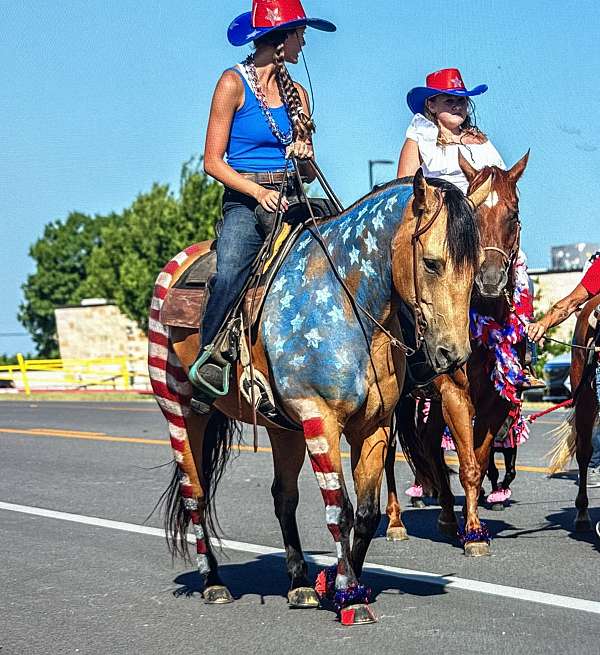 athletic-quarter-horse