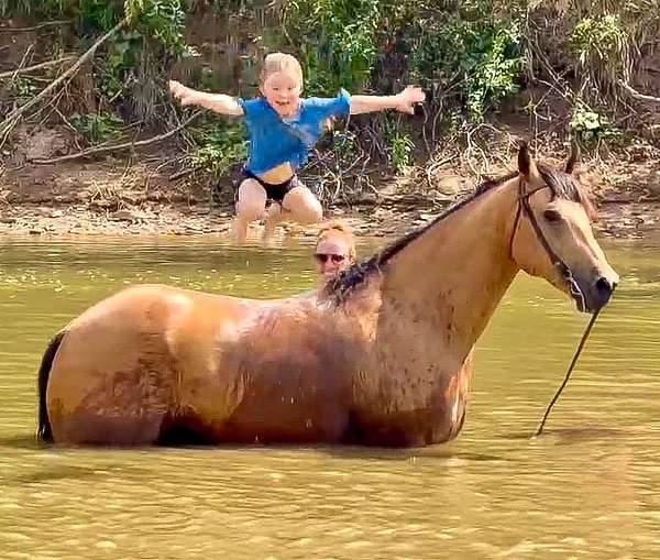 ranch-quarter-horse
