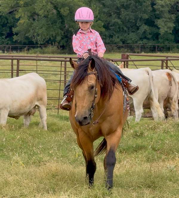 ranch-versatility-quarter-horse