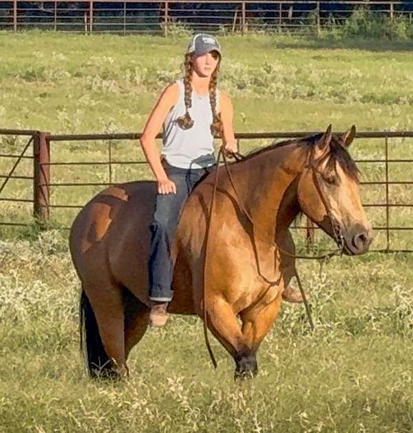 ranch-work-quarter-horse