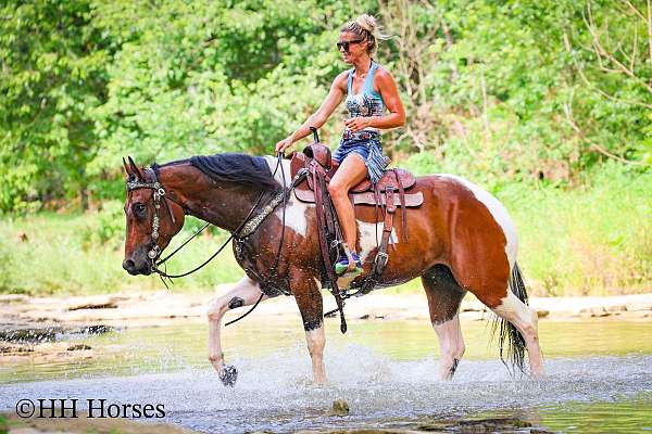 athletic-paint-horse