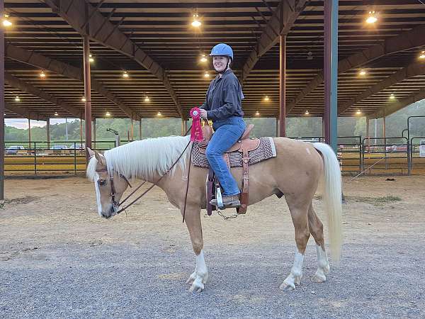 ranch-appendix-palomino-horse