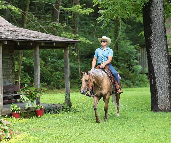 ranch-versatility-quarter-horse