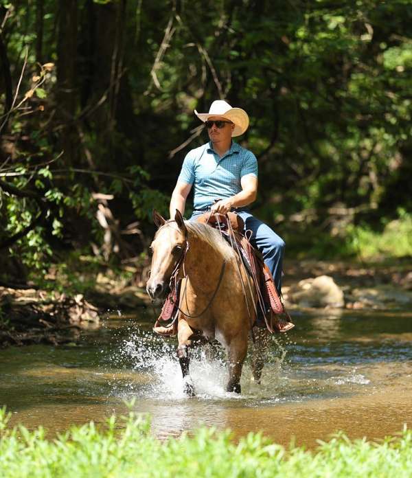 roping-quarter-horse