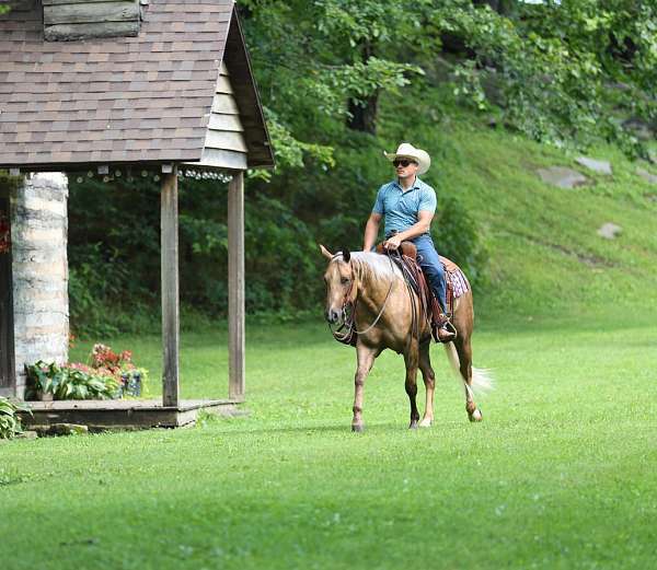 trail-riding-quarter-horse