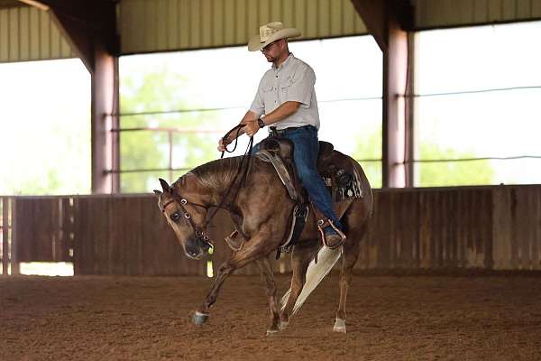 youth-quarter-horse
