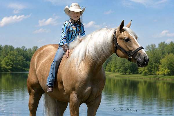 ranch-quarter-horse