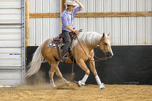 ranch-work-quarter-horse