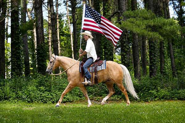 roping-quarter-horse