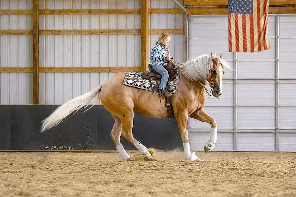 trail-quarter-horse