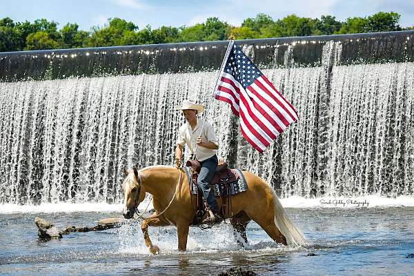 western-riding-quarter-horse