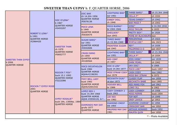 quarter-horse