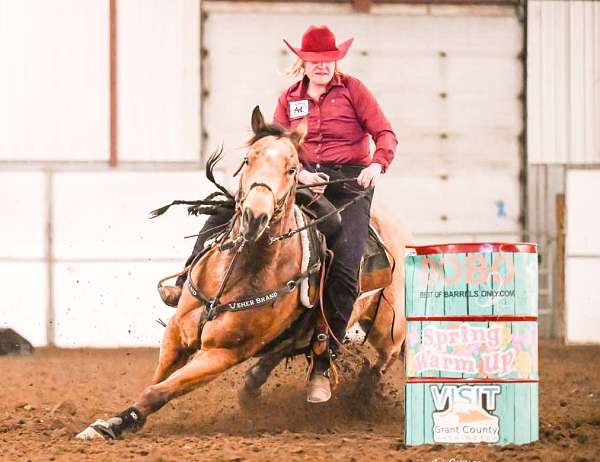 barrel-racing-quarter-horse