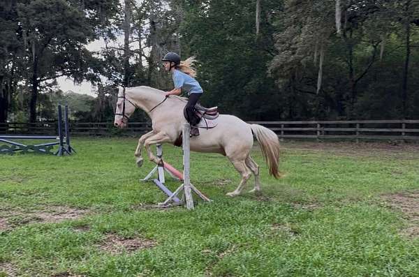 blue-eyed-quarter-horse