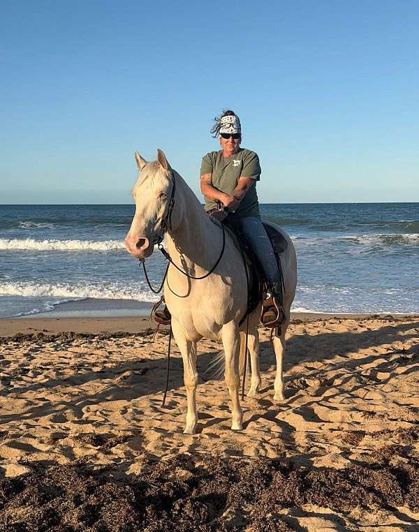 endurance-quarter-horse