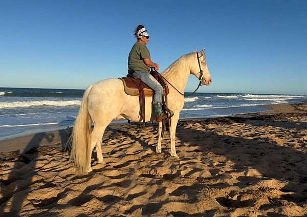 equitation-quarter-horse
