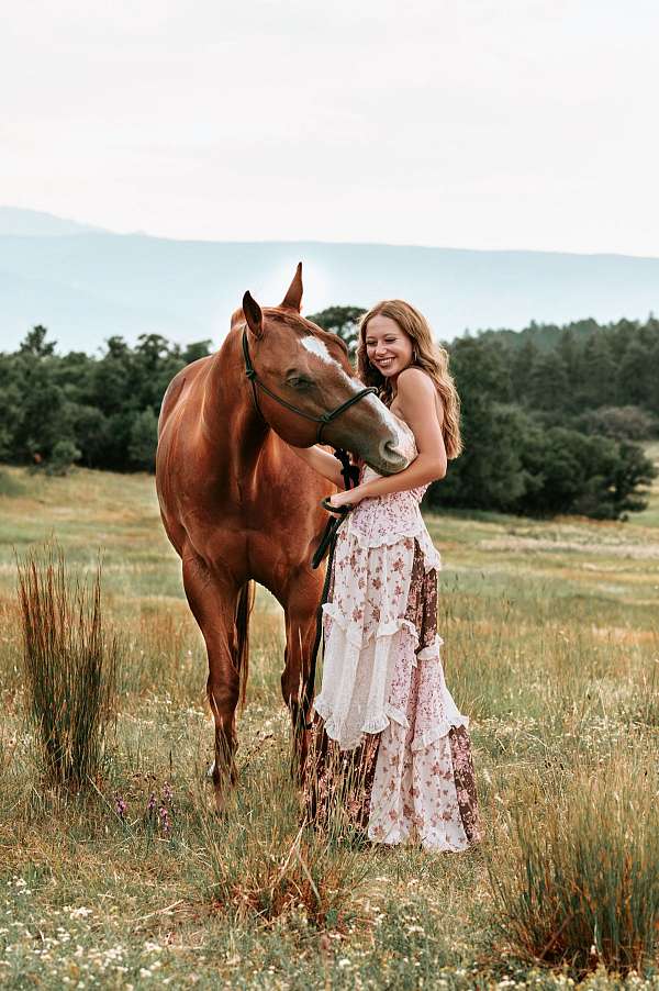 athletic-quarter-horse