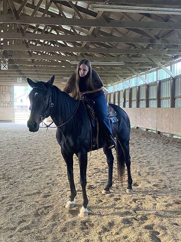 thoroughbred-mare