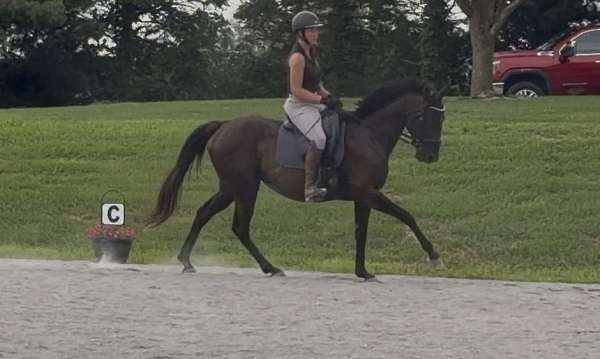 jc-mare