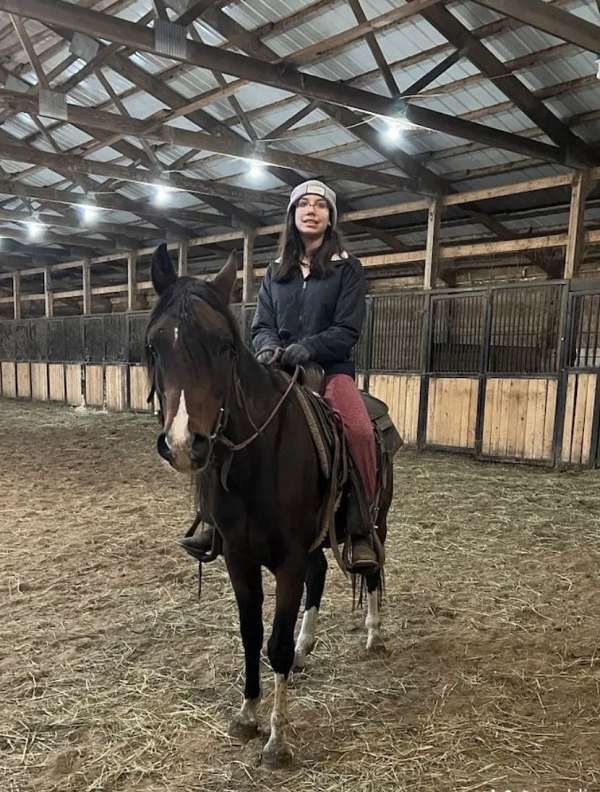 endurance-trail-riding