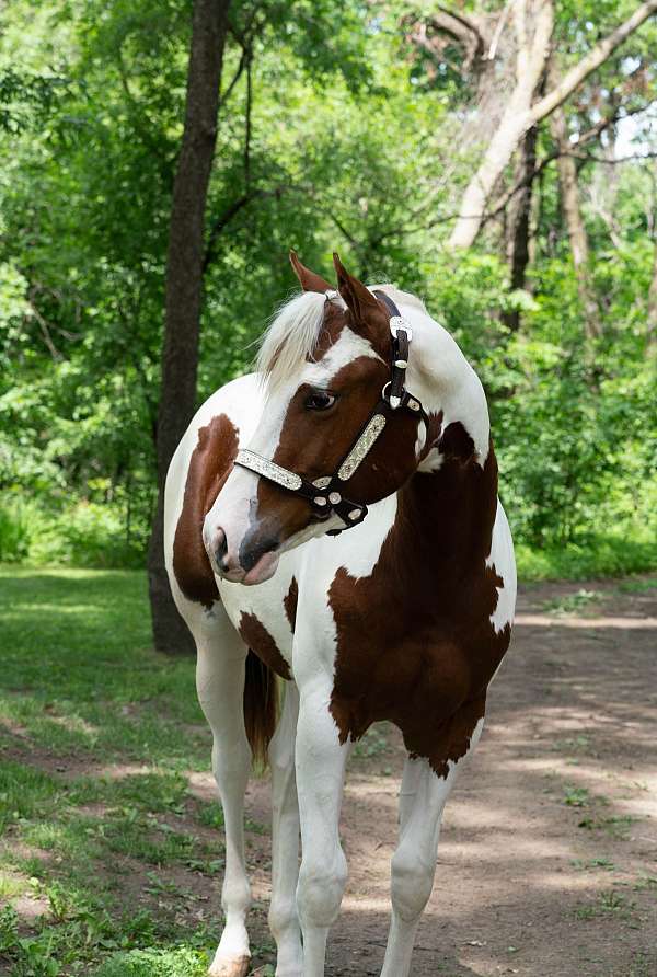 future-paint-horse