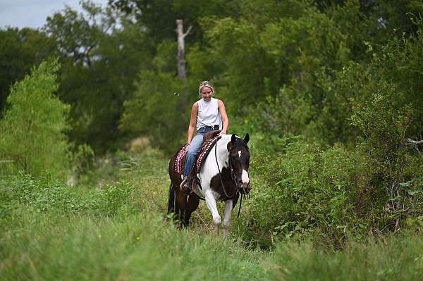 athletic-paint-horse