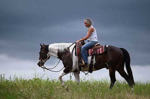 husband-safe-paint-horse