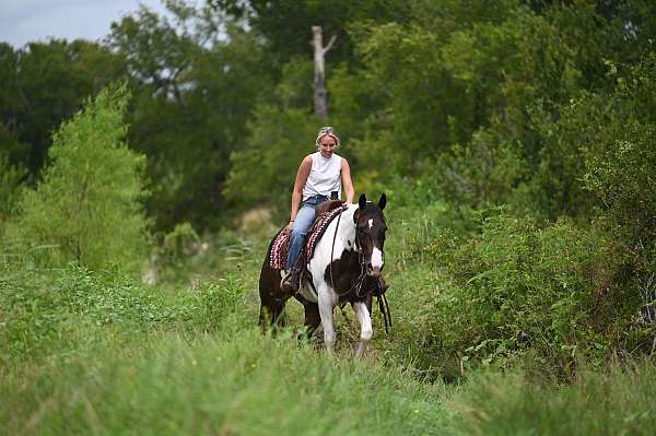 ranch-paint-horse