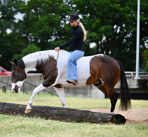 ranch-versatility-paint-horse