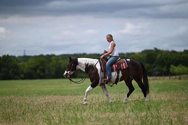 ranch-work-paint-horse