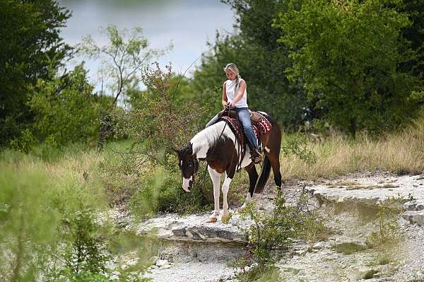 roping-paint-horse