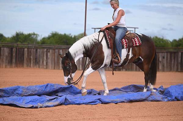 trail-paint-horse
