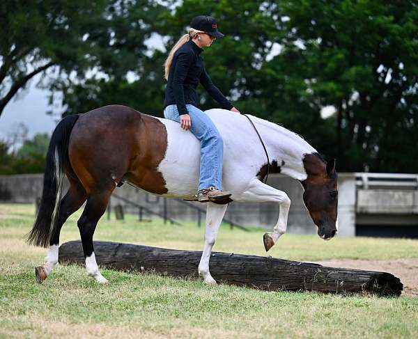 trail-riding-paint-horse