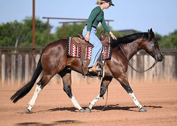calf-roping-paint-horse