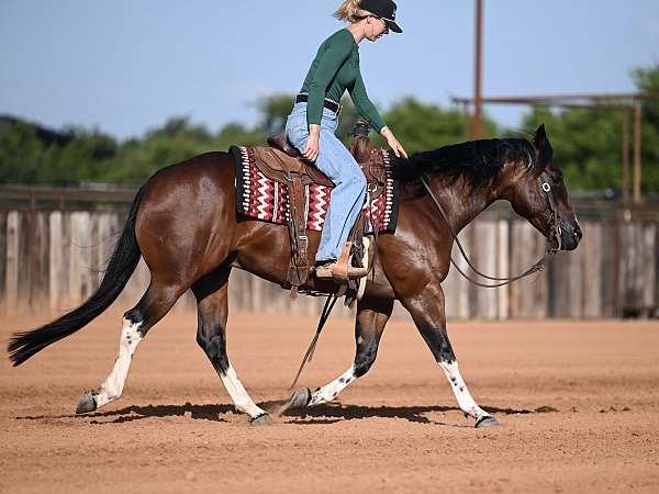 flashy-paint-horse