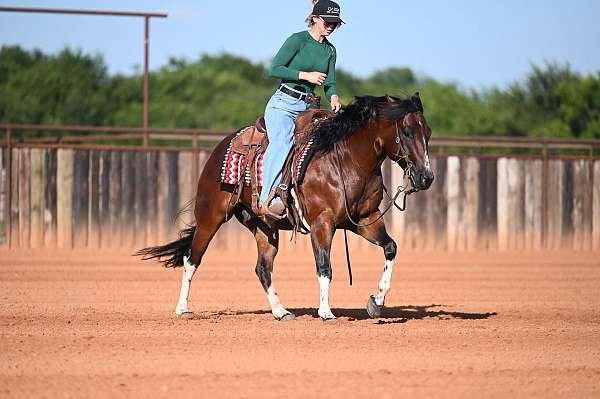 husband-safe-paint-horse