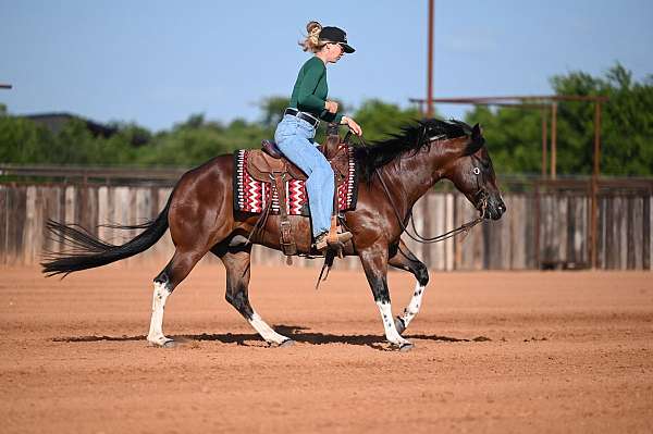 performance-paint-horse