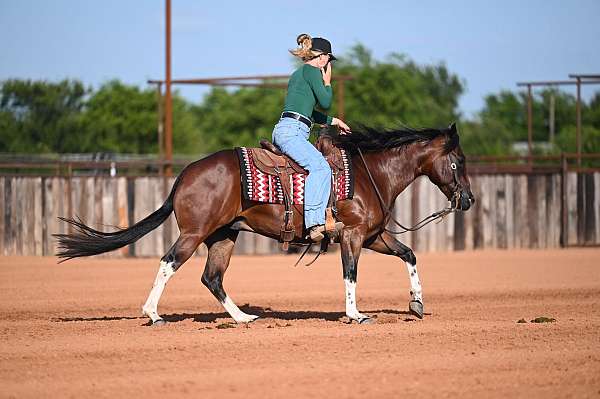 ranch-paint-horse