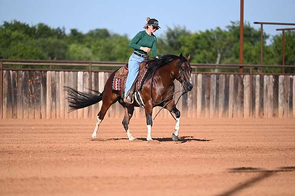 ranch-versatility-paint-horse
