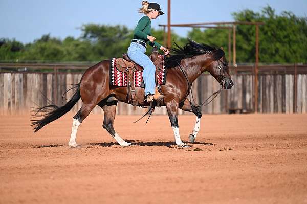 ranch-work-paint-horse