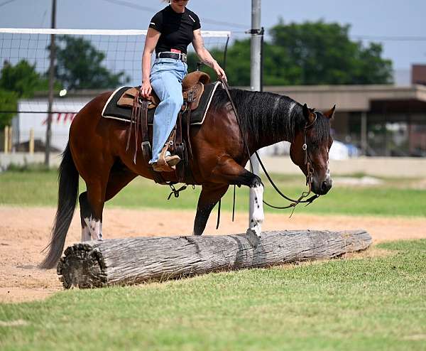 western-riding-paint-horse
