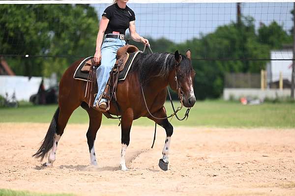 trail-paint-horse