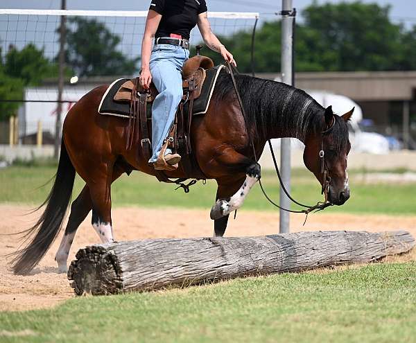 trail-riding-paint-horse