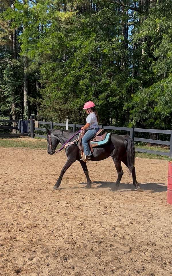 black-therapy-horse