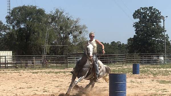 around-thoroughbred-horse