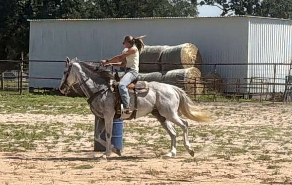 athletic-thoroughbred-horse