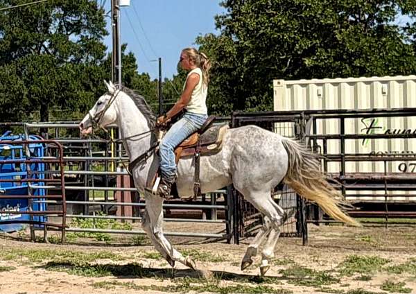 attention-thoroughbred-horse