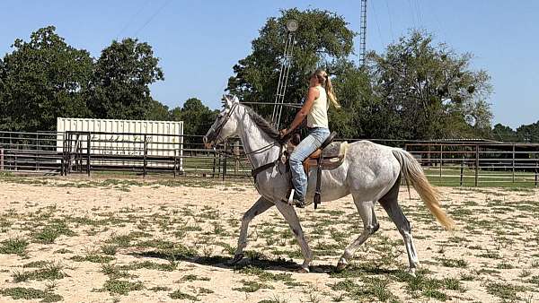 back-thoroughbred-horse