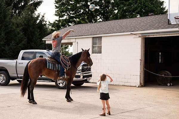 bay-roan-working-catt-horse